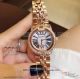 Perfect Replica Roger Dubuis Velvet Diamond Bezel Blue Satin Dial 36mm Women's Watch (5)_th.jpg